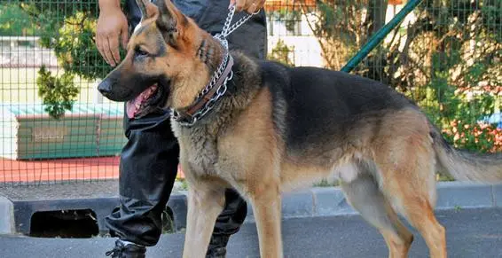 Société Installation Climatisation Appartement à Casablanca